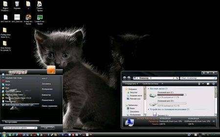 Grey Kittens Theme for Windows 7