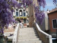 Venecia en 4 días - Blogs de Italia - Venecia en 4 días (165)